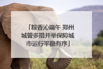 粽香沁端午 郑州城管多措并举保障城市运行平稳有序