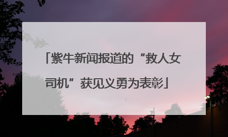 紫牛新闻报道的“救人女司机”获见义勇为表彰