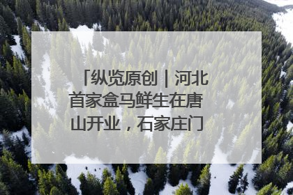 纵览原创｜河北首家盒马鲜生在唐山开业，石家庄门店预计8月开业