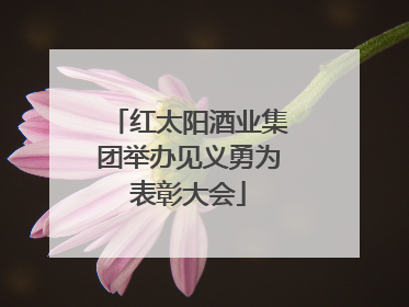 红太阳酒业集团举办见义勇为表彰大会