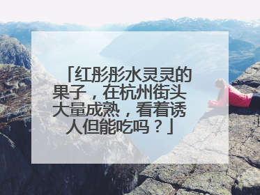 红彤彤水灵灵的果子，在杭州街头大量成熟，看着诱人但能吃吗？