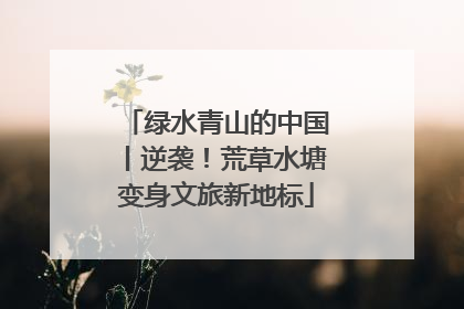 绿水青山的中国丨逆袭！荒草水塘变身文旅新地标