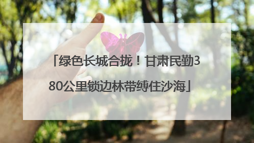 绿色长城合拢！甘肃民勤380公里锁边林带缚住沙海