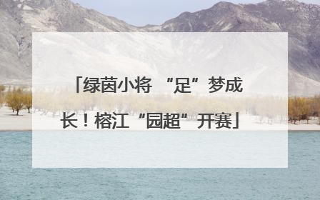 绿茵小将 “足”梦成长！榕江“园超”开赛