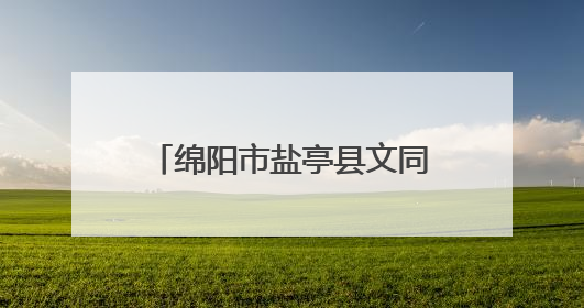 绵阳市盐亭县文同小学2025年六一庆典暨课后服务成果展圆满落幕
