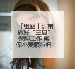 组图丨沂南做好“三夏”保障工作 确保小麦颗粒归仓