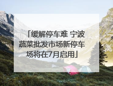 缓解停车难 宁波蔬菜批发市场新停车场将在7月启用