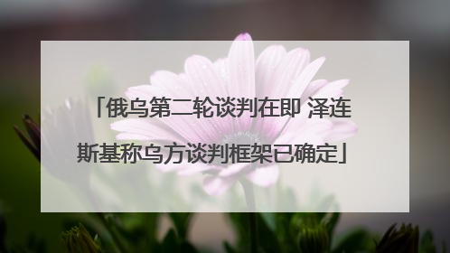 俄乌第二轮谈判在即 泽连斯基称乌方谈判框架已确定