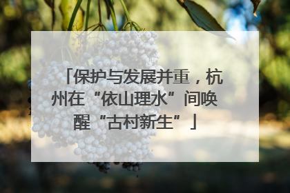 保护与发展并重，杭州在“依山理水”间唤醒“古村新生”