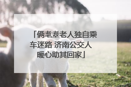 俩耄耋老人独自乘车迷路 济南公交人暖心助其回家