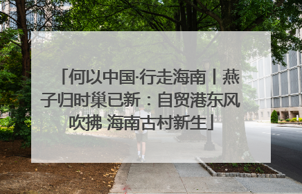 何以中国·行走海南丨燕子归时巢已新：自贸港东风吹拂 海南古村新生