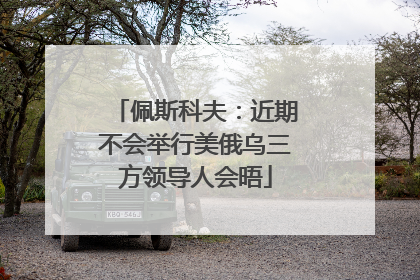 佩斯科夫：近期不会举行美俄乌三方领导人会晤