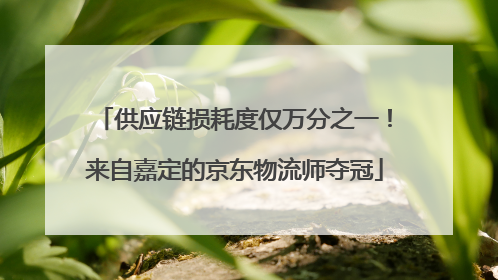 供应链损耗度仅万分之一！来自嘉定的京东物流师夺冠