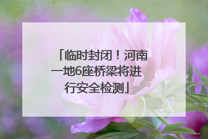 临时封闭！河南一地6座桥梁将进行安全检测