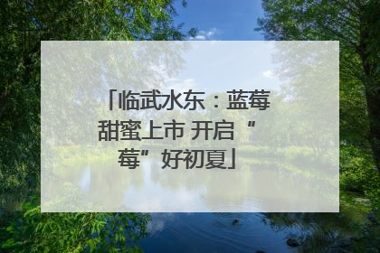 临武水东：蓝莓甜蜜上市 开启“莓”好初夏