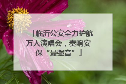 临沂公安全力护航万人演唱会，奏响安保“最强音”