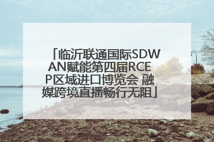 临沂联通国际SDWAN赋能第四届RCEP区域进口博览会 融媒跨境直播畅行无阻