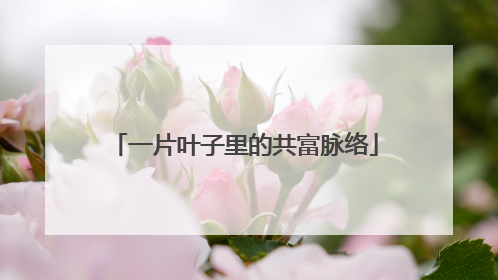一片叶子里的共富脉络