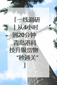 一线调研丨从4小时到20分钟 青岛港科技升级货物“秒通关”