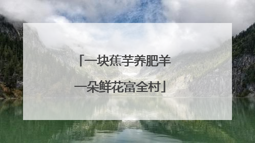 一块蕉芋养肥羊 一朵鲜花富全村