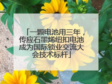 一颗电池用三年，传应石墨烯纽扣电池成为国际锁业交流大会技术标杆