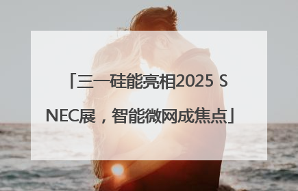 三一硅能亮相2025 SNEC展，智能微网成焦点
