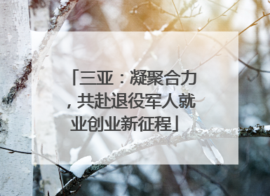 三亚：凝聚合力，共赴退役军人就业创业新征程