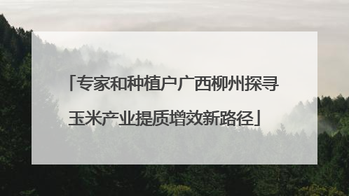 专家和种植户广西柳州探寻玉米产业提质增效新路径