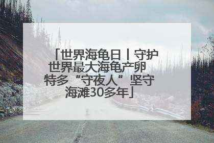 世界海龟日丨守护世界最大海龟产卵 特多“守夜人”坚守海滩30多年