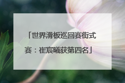 世界滑板巡回赛街式赛：崔宸曦获第四名