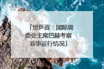 世乒赛：国际奥委会主席巴赫考察赛事运行情况