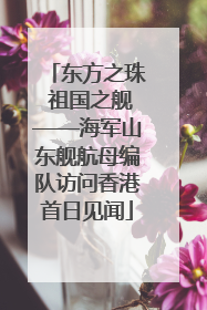 东方之珠 祖国之舰——海军山东舰航母编队访问香港首日见闻