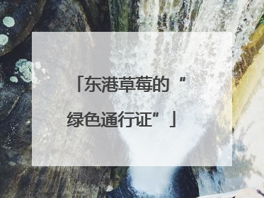东港草莓的“绿色通行证”