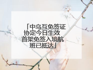 中乌互免签证协定今日生效 首架免签入境航班已抵达