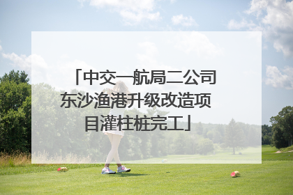 中交一航局二公司东沙渔港升级改造项目灌柱桩完工