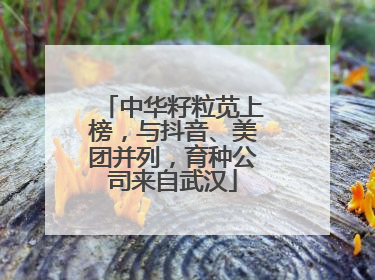 中华籽粒苋上榜，与抖音、美团并列，育种公司来自武汉