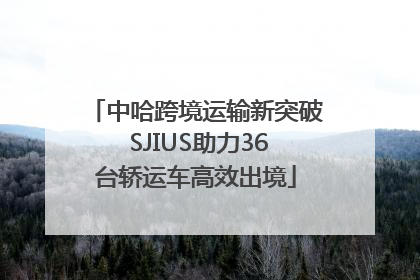 中哈跨境运输新突破 SJIUS助力36台轿运车高效出境