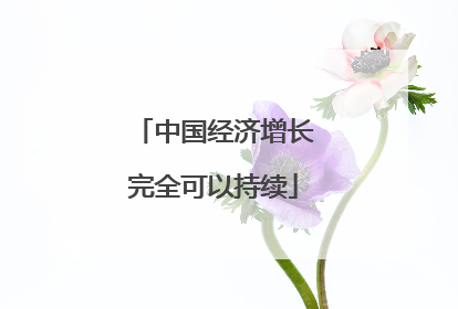 中国经济增长完全可以持续