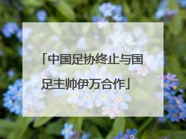 中国足协终止与国足主帅伊万合作
