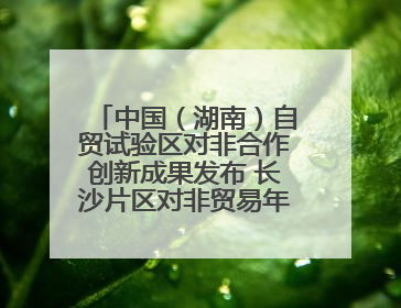 中国（湖南）自贸试验区对非合作创新成果发布 长沙片区对非贸易年均增长141%
