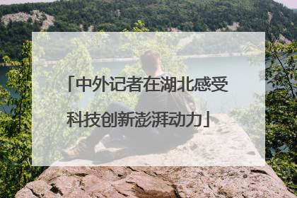 中外记者在湖北感受科技创新澎湃动力