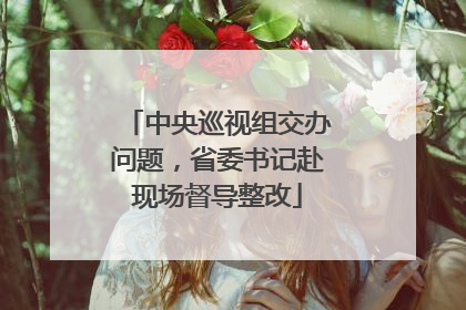 中央巡视组交办问题，省委书记赴现场督导整改