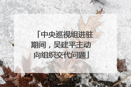 中央巡视组进驻期间，吴建平主动向组织交代问题
