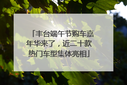 丰台端午节购车嘉年华来了，近二十款热门车型集体亮相