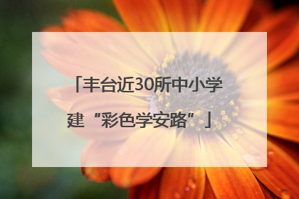 丰台近30所中小学建“彩色学安路”