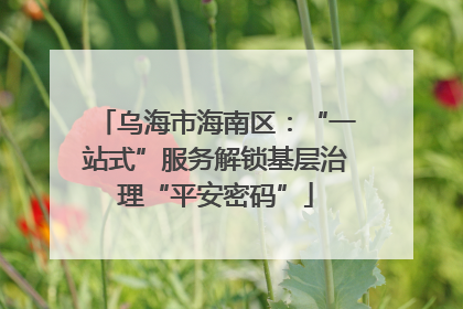 乌海市海南区：“一站式”服务解锁基层治理“平安密码”