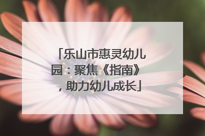 乐山市惠灵幼儿园：聚焦《指南》，助力幼儿成长