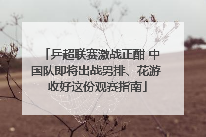 乒超联赛激战正酣 中国队即将出战男排、花游 收好这份观赛指南