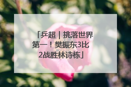乒超｜挑落世界第一！樊振东3比2战胜林诗栋