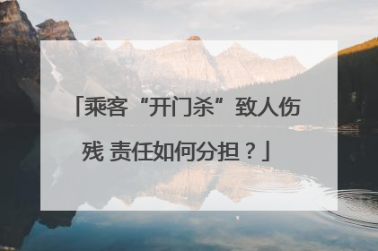 乘客“开门杀”致人伤残 责任如何分担？